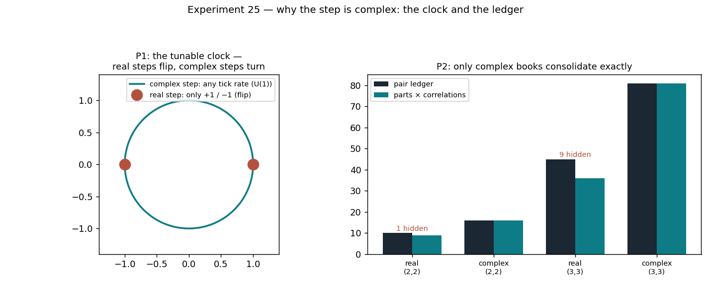 25_why_complex