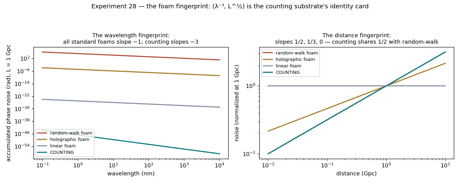 28_foam_fingerprint