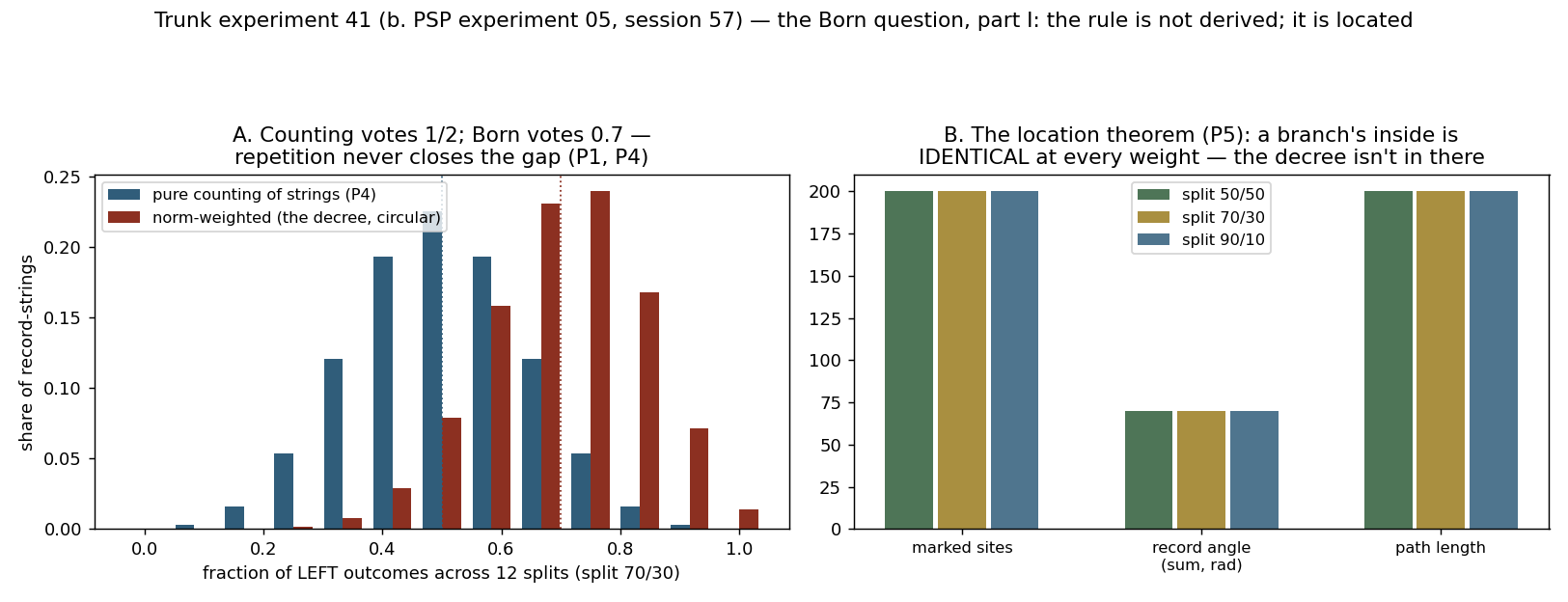 41_the_born_question